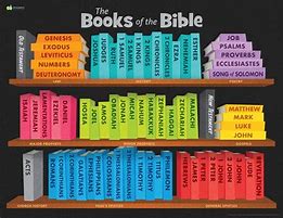 Image result for Types of Bible Books