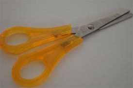Image result for Tin Scissors