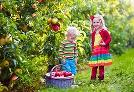 Image result for Happy Children Picking Fruit