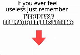 Image result for Useless Feature Meme