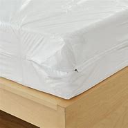 Image result for Bed Bug Proof Mattress Cover
