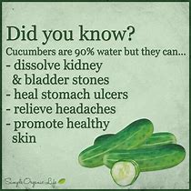 Image result for Fun Health Facts