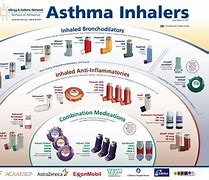 Image result for Asthma Inhaler Medications