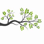 Image result for Tree Branch Stock Illustrations
