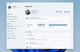 Image result for Microsoft Account Details