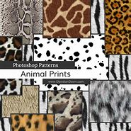 Image result for Animal Print Pop Socket