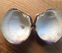Image result for Quahog Pearl Earrings