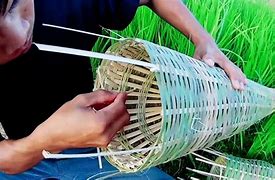 Image result for Bamboo Fishing Hook