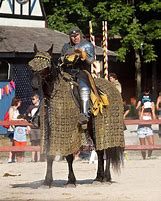Image result for Medieval Prince On Horse
