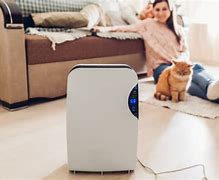 Image result for Dehumidifiers with Air Purifier