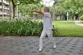 Image result for Dragon Stance Kung Fu Style