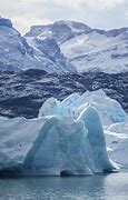 Image result for Arg Iceberg
