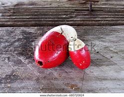 Image result for Vintage Fishing Bobbers