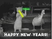 Image result for Happy New Year Fail GIF