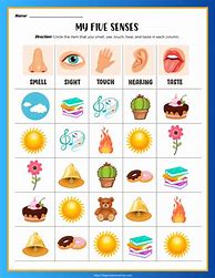 Image result for 5 Senses Activities Worksheets for Kindergarten