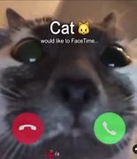 Image result for FaceTime Hang Up Memes