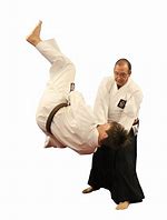 Image result for Martial Arts Training