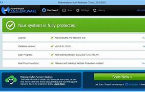 Image result for Download Malwarebytes for Windows 11