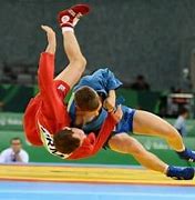 Image result for Sambo Martial Art