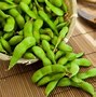 soybean plant photos 的图像结果