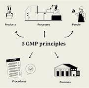 Image result for What Is GMP