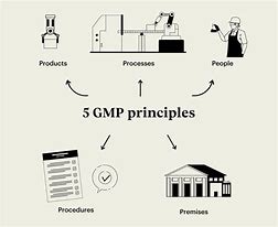 Image result for Good Manufacturing Practice GMP