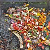 Image result for Vegetable Compost
