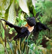 Image result for Toy Figure Bat