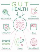 Image result for Good Gut Health