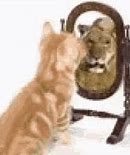 Image result for Mirror Reflection Effect