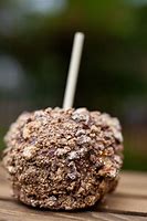 Image result for Gourmet Candy Apples