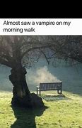 Image result for Vampire in Sun Meme