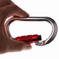Image result for Oval Carabiner Rock and Run
