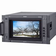 Image result for Sony Video Monitor