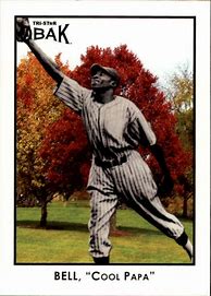 Image result for Cool Papa Bell 225 Panini