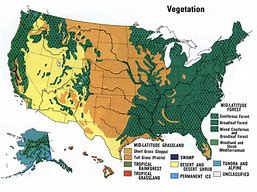 Image result for North America Vegetation Map