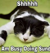 Image result for Sunday Cat Coffee Meme