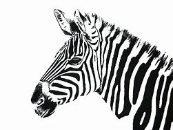 Image result for Animal Pictures Clip Art Black and White