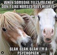 Image result for Funny Horse Jockey