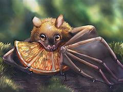 Image result for Fruit Bat Wallpaper
