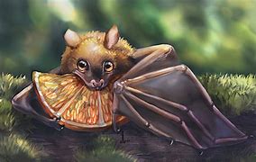 Image result for Funny Cartoon Fruit Bats