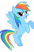 Image result for My Little Pony Rainbow Dash Color