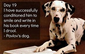 Image result for Pavlov's Dog Meme