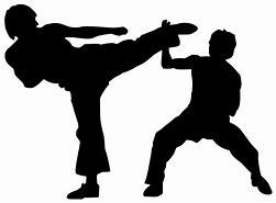 Image result for Pnpc5757 Punch