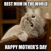 Image result for Animal Mother Meme