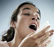 Image result for Allergy Sneezing