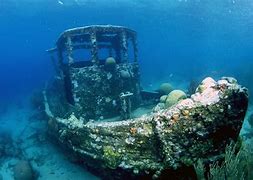Image result for Real Pirate Ship Sunken Plank