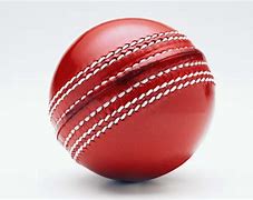Image result for Cricket Ball