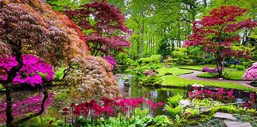 Image result for Flowers in Japanese Garden