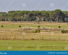 Image result for Horse Racing Track